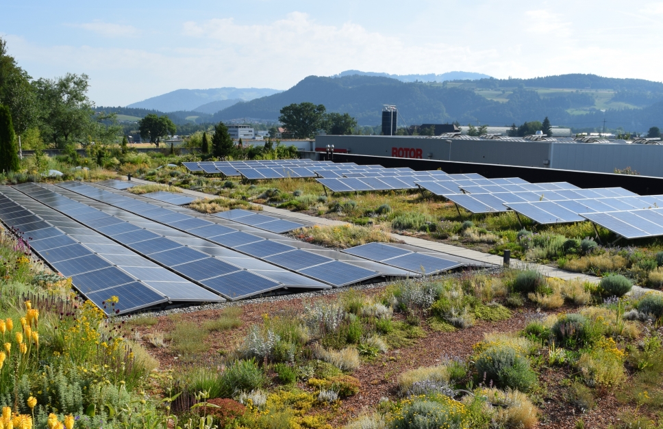 Videomitschnitt: Solar-Gründach - Beachtenswertes und Praxisbeispiele