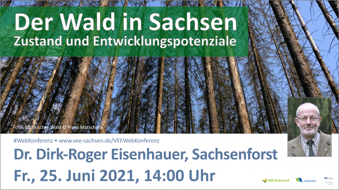 Der Wald in Sachsen – Zustand und Entwicklungspotenziale | #WebKonferenz | Freitag, 25. Juni 2021, 14 Uhr