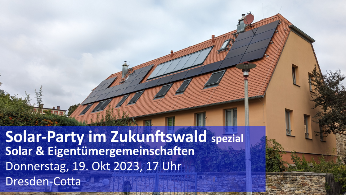 Solar Party im Zukunftswald